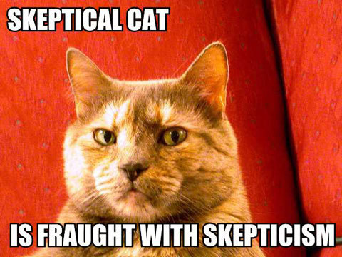 skeptical-cat-jpg.47590